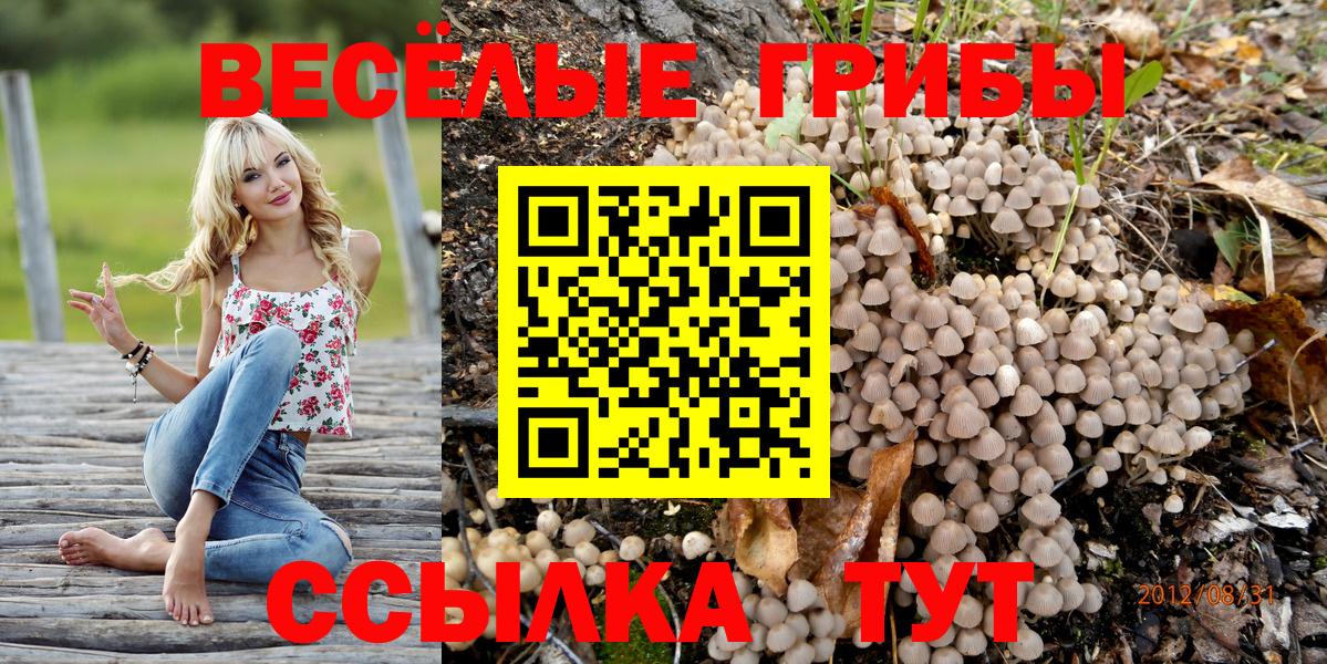 Псилоцибиновые грибы Cubensis Заринск